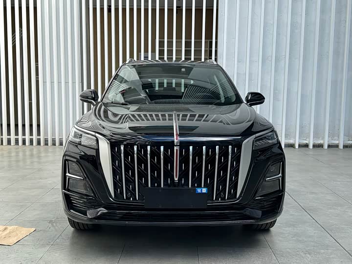 Фото 2 - Hongqi HS5