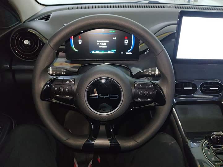 Фото 11 - BYD E2