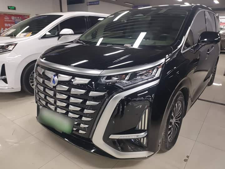 Фото 1 - Denza D9