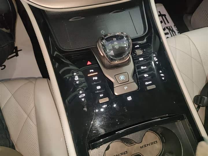 Фото 14 - Denza D9