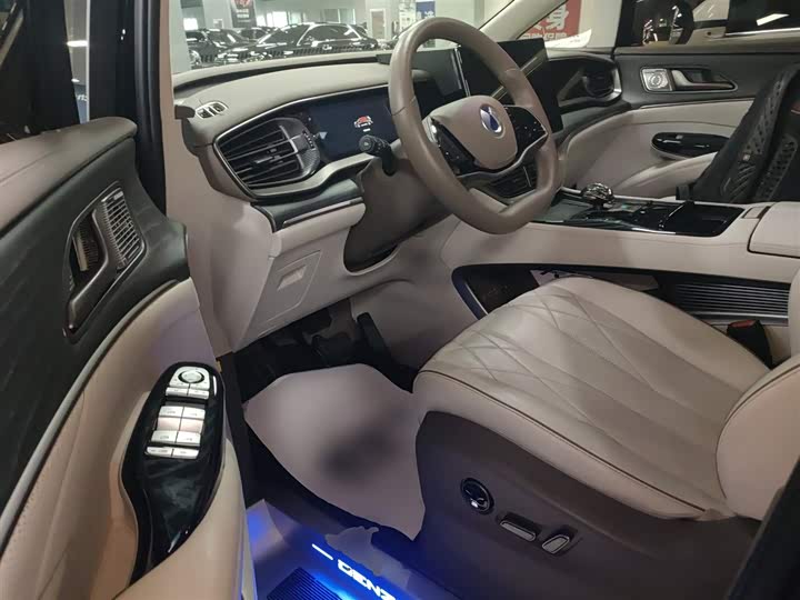 Фото 15 - Denza D9