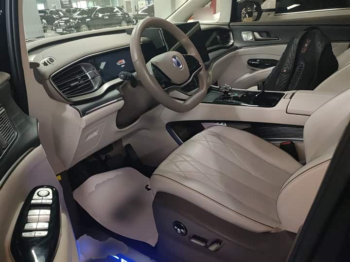 Фото 16 - Denza D9