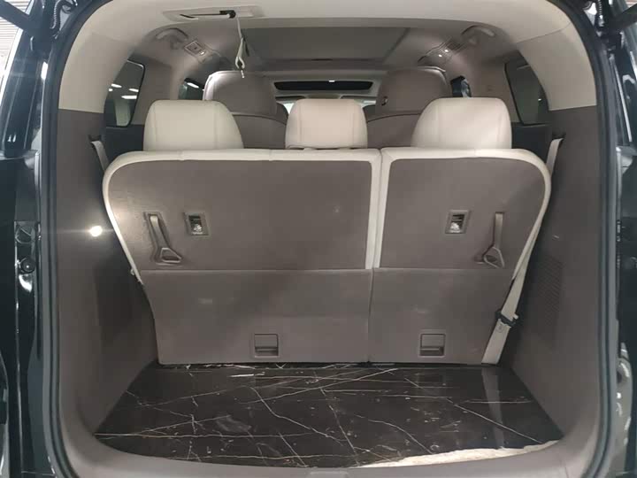 Фото 19 - Denza D9