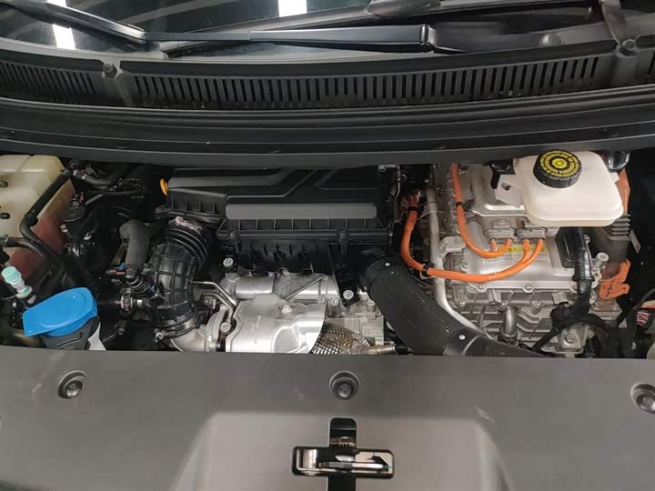 Фото 20 - Denza D9