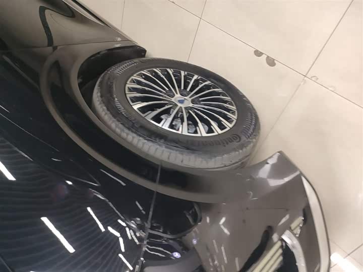 Фото 23 - Denza D9