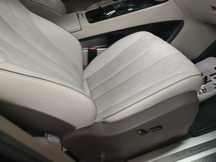 Фото 25 - Denza D9