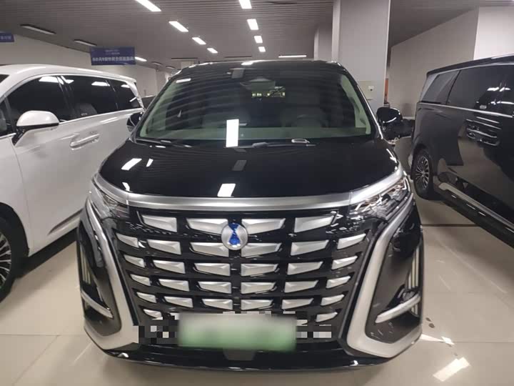 Фото 3 - Denza D9