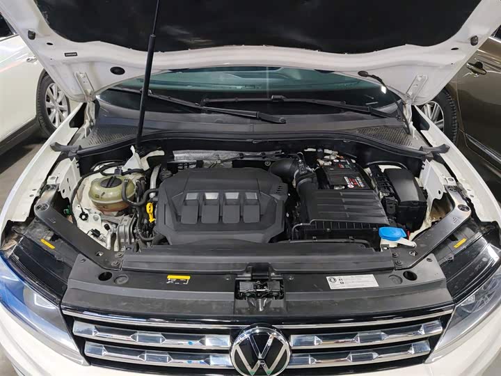 Фото 20 - Volkswagen Tiguan L Pro