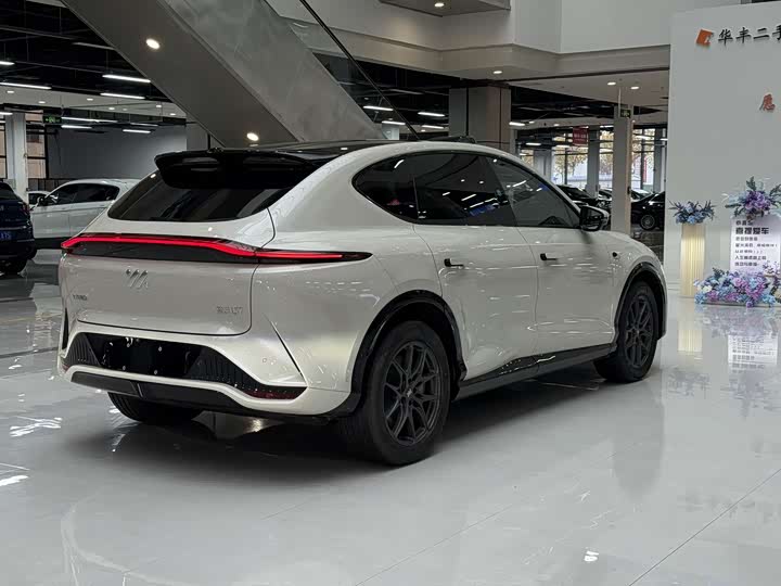 Фото 4 - IM motors LS7