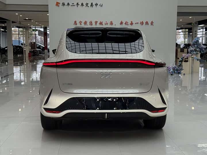 Фото 6 - IM motors LS7