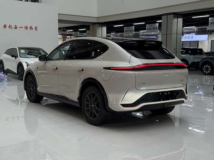 Фото 7 - IM motors LS7