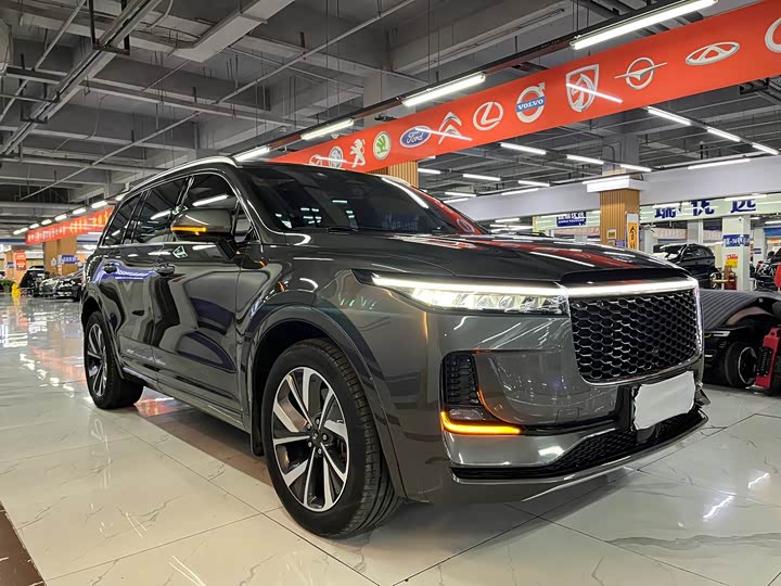 Фото 6 - LiXiang One