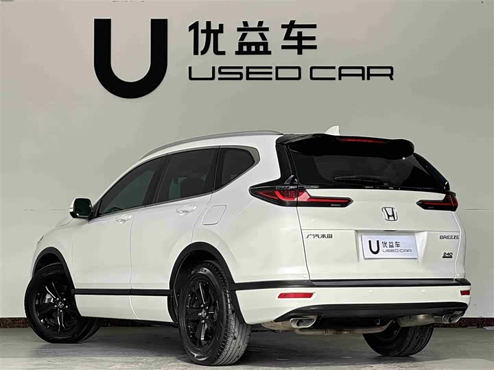 Фото 7 - Honda Breeze