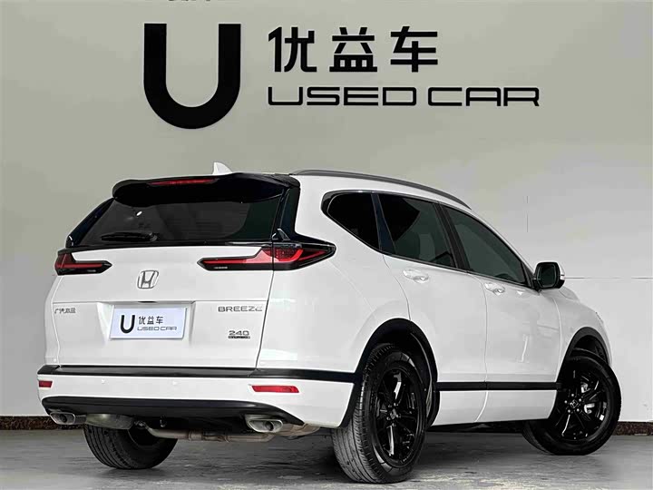 Фото 9 - Honda Breeze