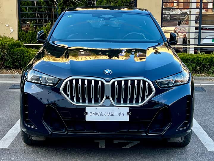 Фото 3 - BMW X6
