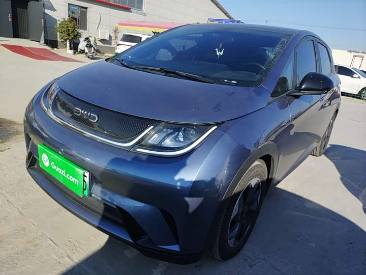 Фото 2 - BYD Dolphin