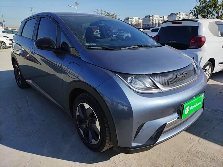 Фото 4 - BYD Dolphin