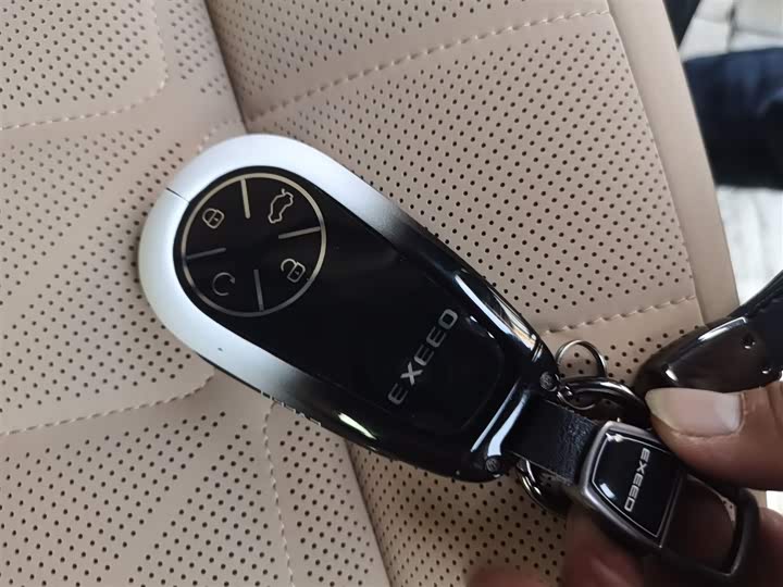 Фото 11 - Exeed Sterra ET