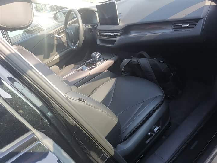 Фото 25 - Hongqi E-QM5