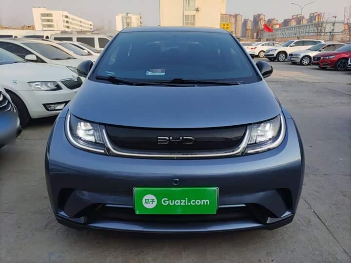 Фото 3 - BYD Dolphin