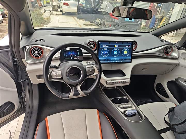 Фото 10 - BYD Dolphin