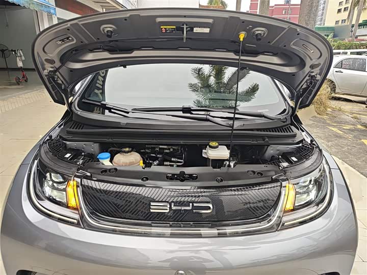 Фото 20 - BYD Dolphin