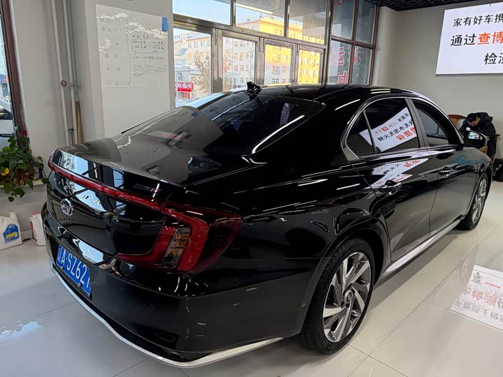 Фото 4 - Hyundai Mistra