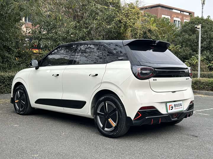 Фото 21 - Dongfeng Nammi 01