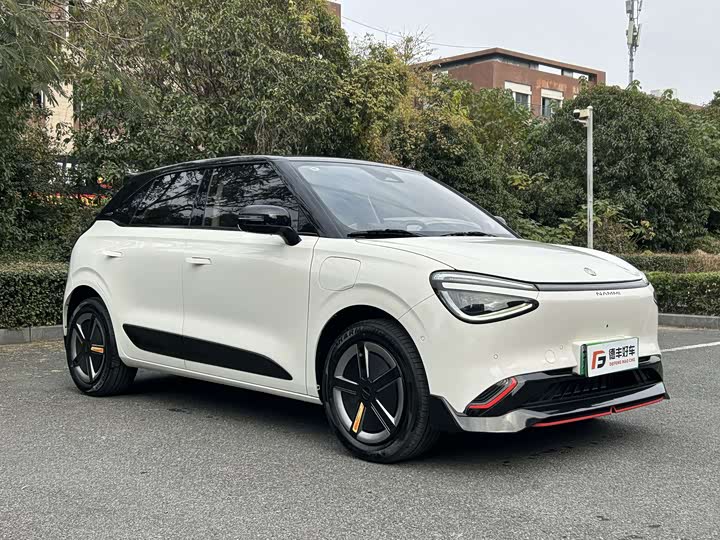 Фото 3 - Dongfeng Nammi 01