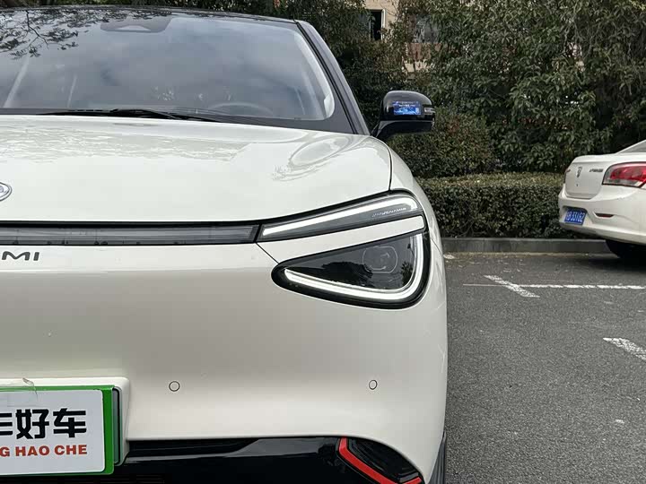 Фото 4 - Dongfeng Nammi 01