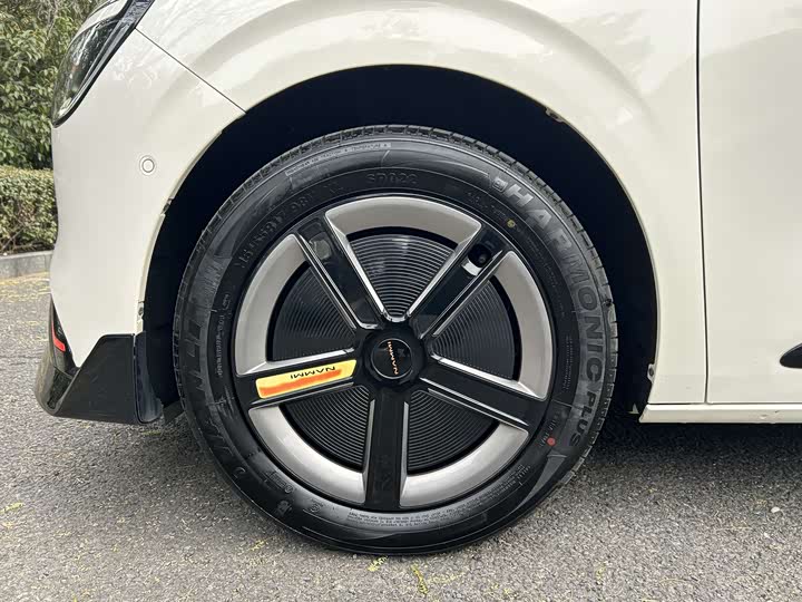 Фото 5 - Dongfeng Nammi 01