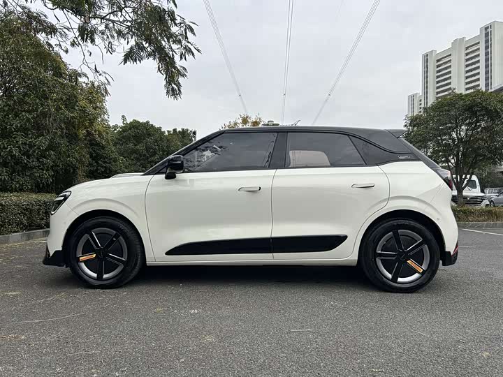 Фото 6 - Dongfeng Nammi 01