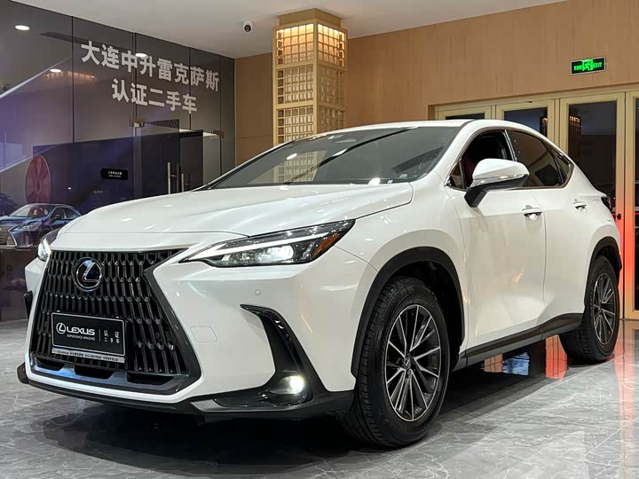 Фото 1 - Lexus NX