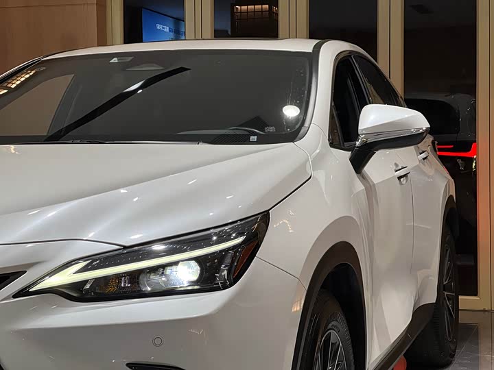 Фото 10 - Lexus NX