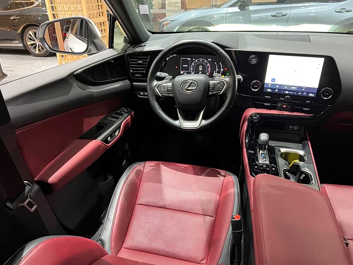 Фото 15 - Lexus NX