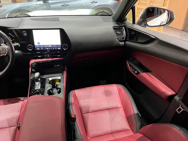 Фото 16 - Lexus NX