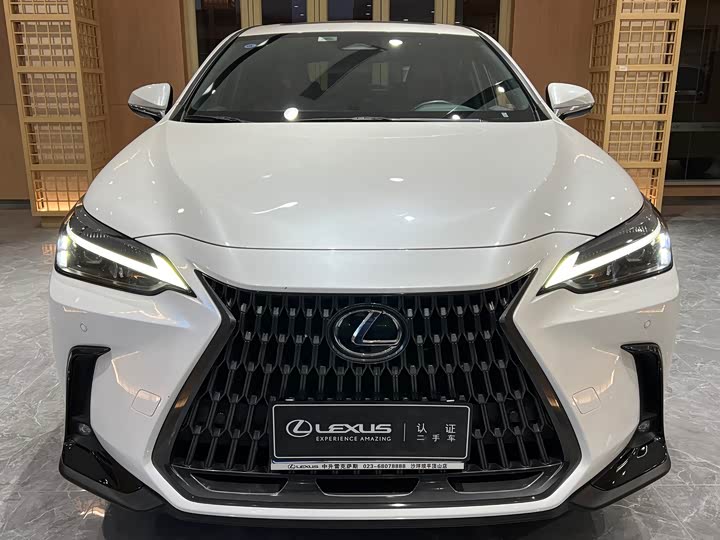 Фото 2 - Lexus NX
