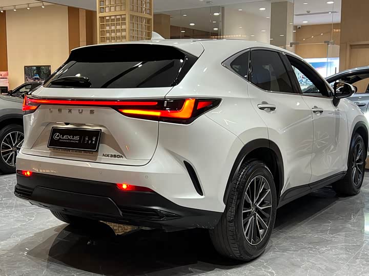 Фото 6 - Lexus NX