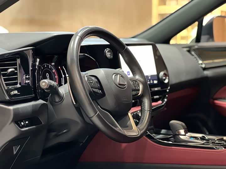 Фото 9 - Lexus NX