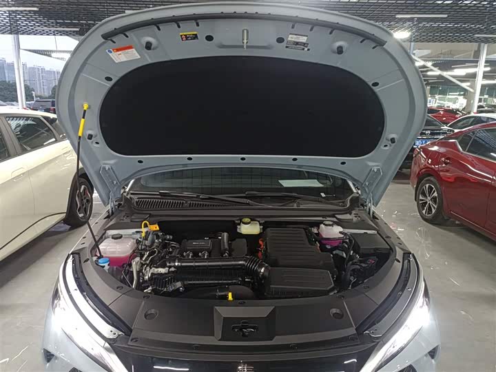 Фото 19 - BYD Qin L