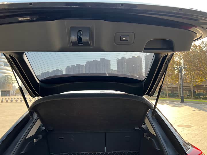 Фото 16 - Honda Avancier