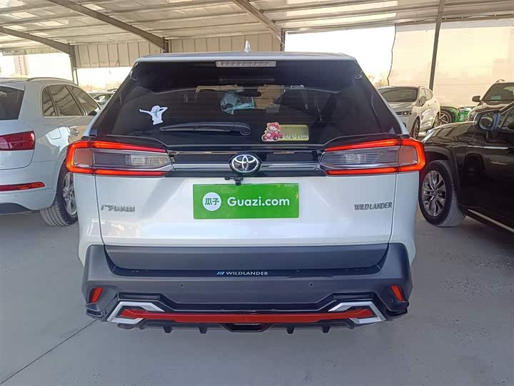 Фото 6 - Toyota Wildlander