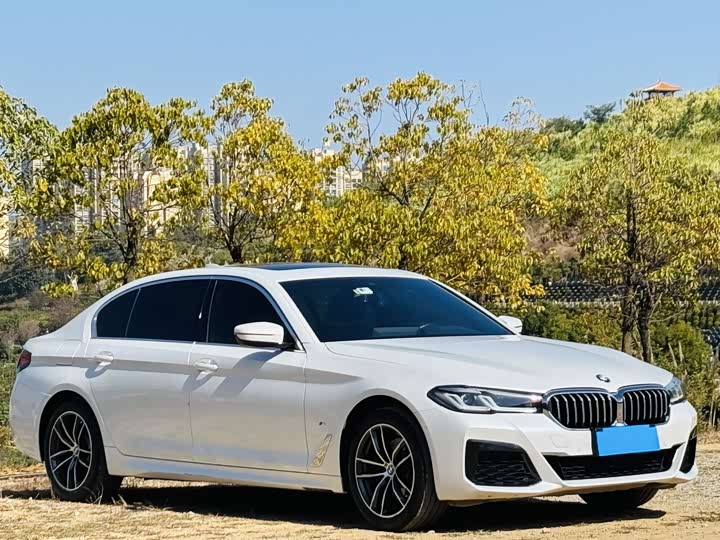 Фото 3 - BMW 5 Series