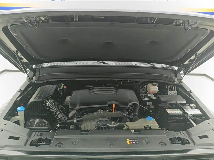 Фото 10 - Tank 300