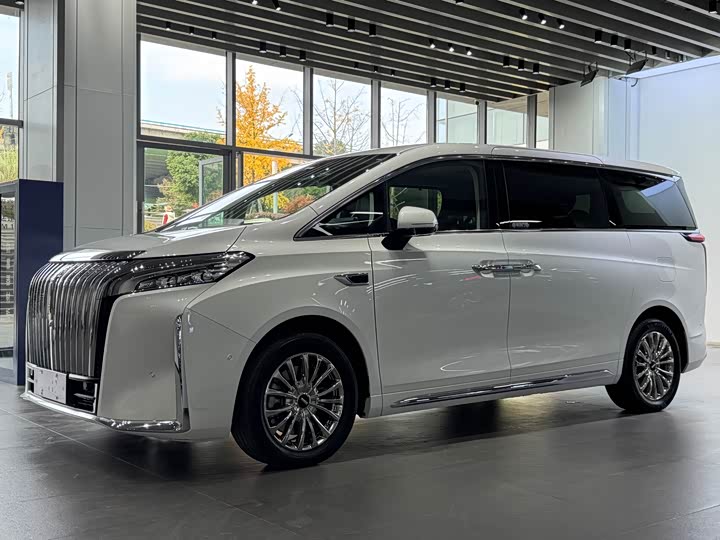 Фото 1 - Wey Gaoshan