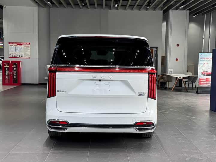 Фото 6 - Wey Gaoshan