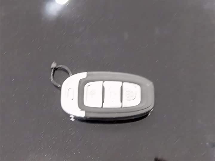 Фото 19 - Hongqi E-QM5