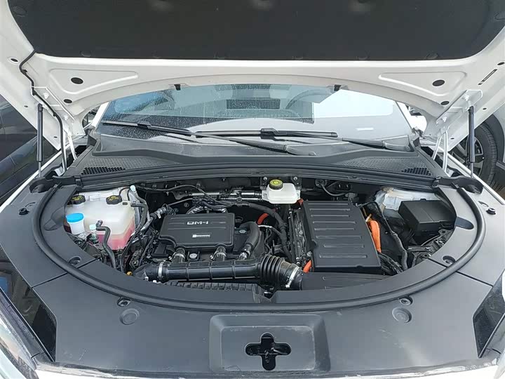 Фото 20 - BYD Song Plus Hybrid/EV