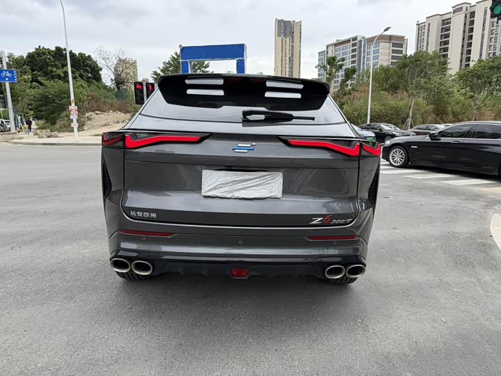 Фото 10 - Changan Oshan Z6