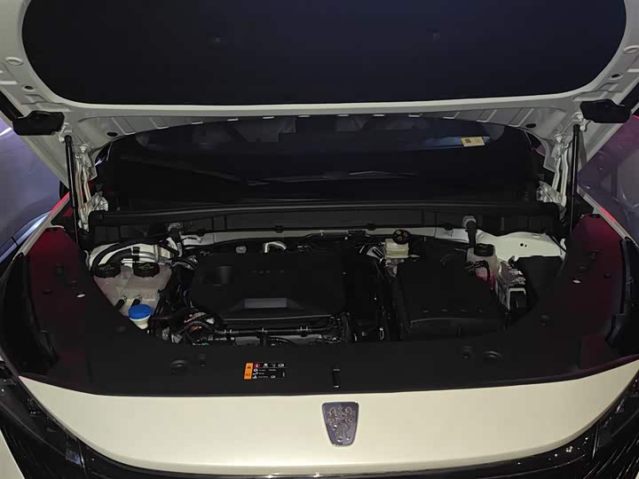 Фото 20 - Roewe RX5 Hybrid